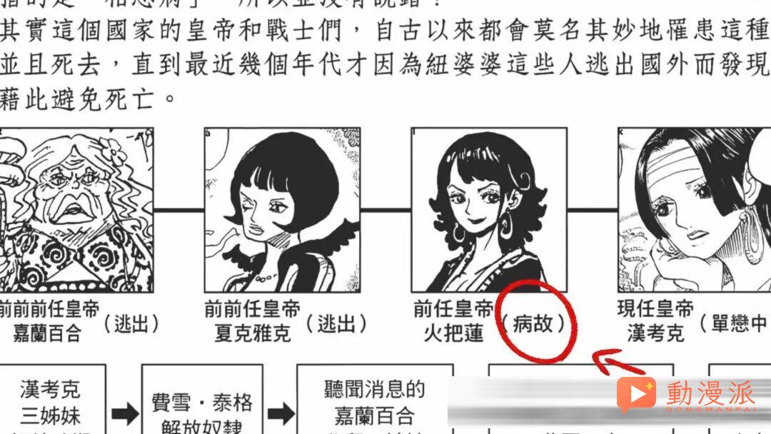 海贼王路飞的妈妈原来是女儿岛第三任女帝托莉托玛,龙就是大渣男!