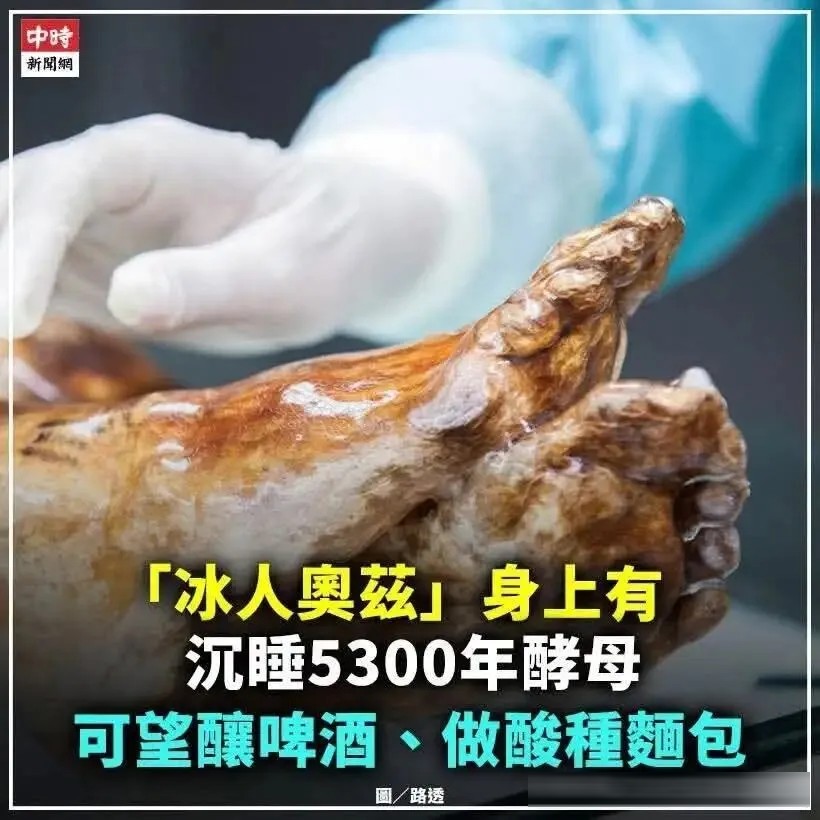 动画和动画联动,又和现实联动