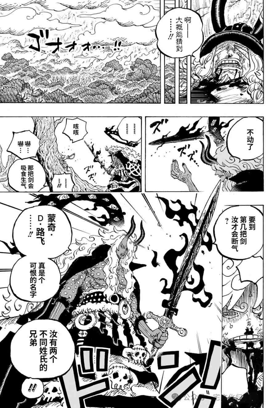 海贼王1189话宅文化汉化,武器的典故详解