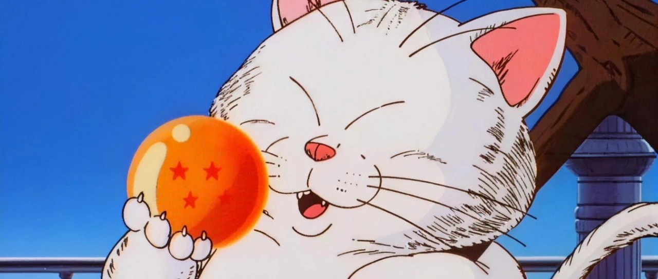 龙珠中的BUG角色，住在卡林塔的猫仙人