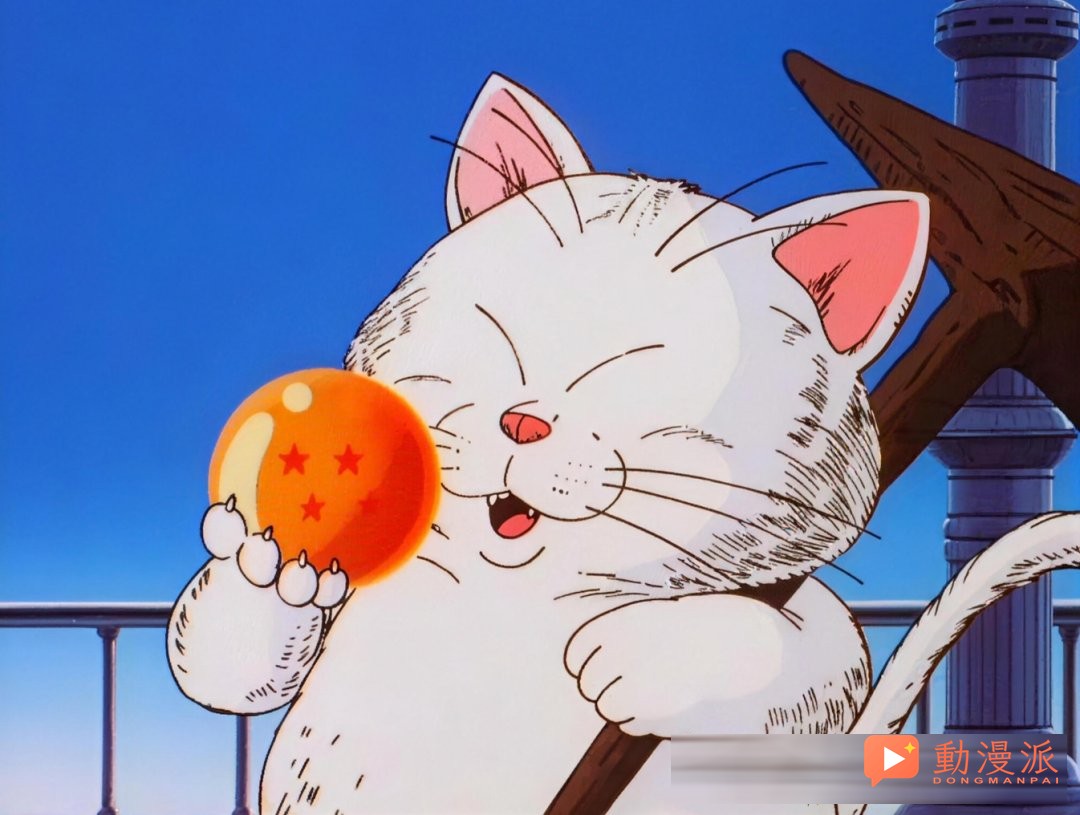 龙珠中的BUG角色，住在卡林塔的猫仙人
