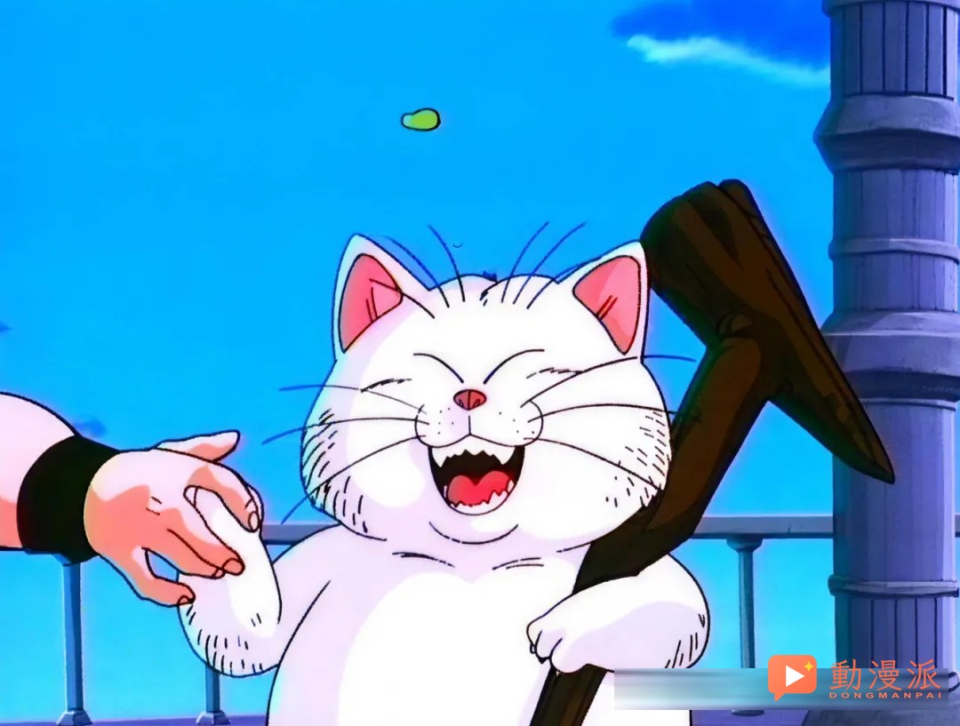 龙珠中的BUG角色，住在卡林塔的猫仙人