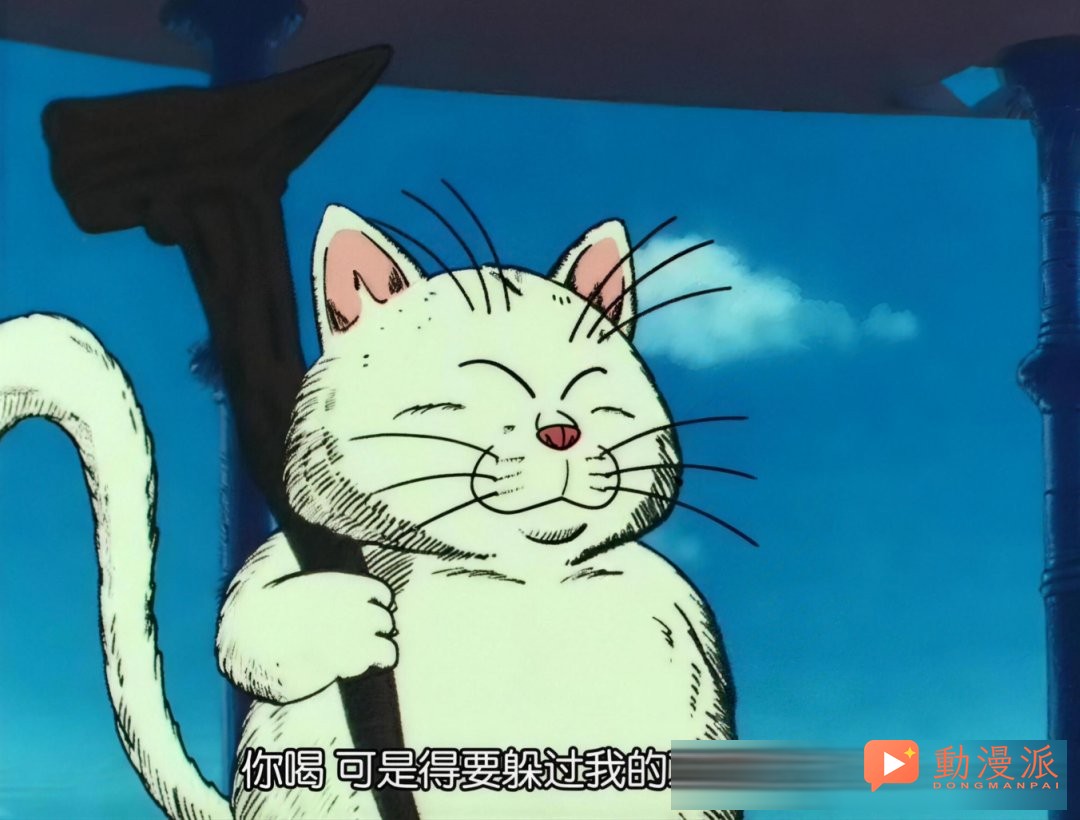 龙珠中的BUG角色，住在卡林塔的猫仙人