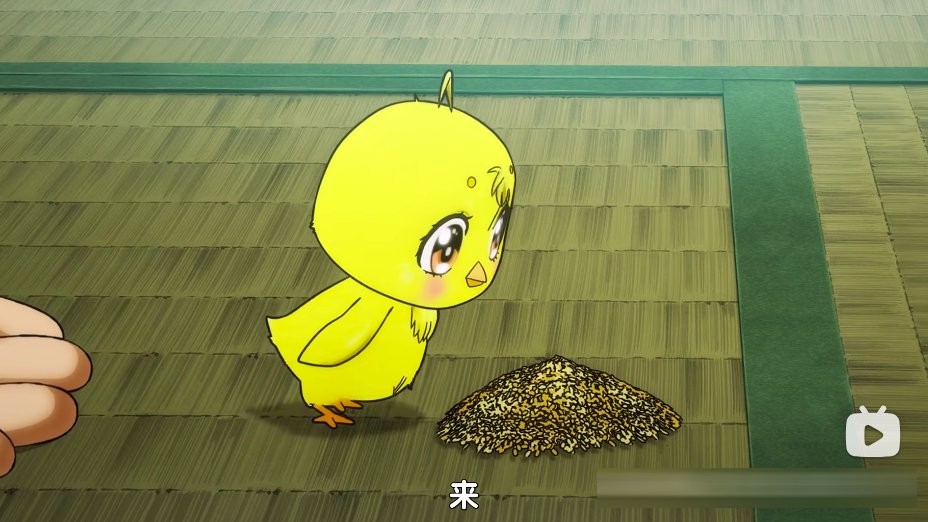 沙雕又热血、疯癫又正经，这部4月新番的抽象到犯规，难怪主角是只鸡，换作人根本过不了审！