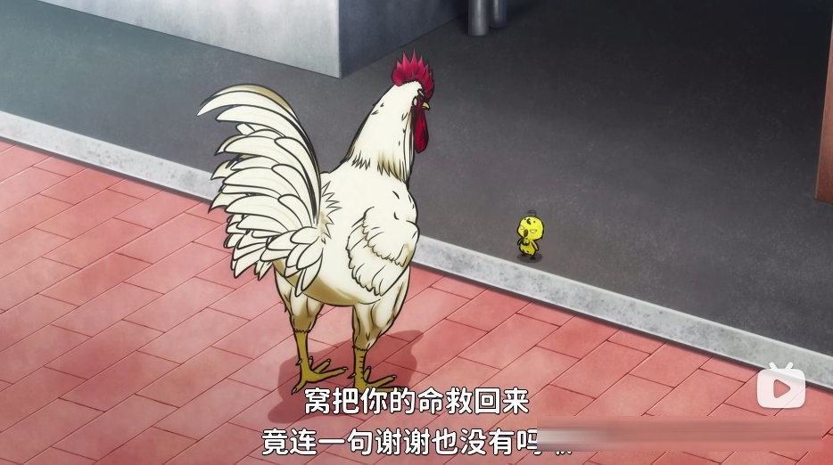 沙雕又热血、疯癫又正经，这部4月新番的抽象到犯规，难怪主角是只鸡，换作人根本过不了审！