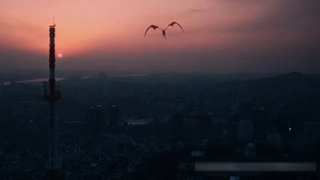 《我独自升级》剧场版制作决定，《网球王子》下个月大结局，《尖帽子》第二季锐意制作中
