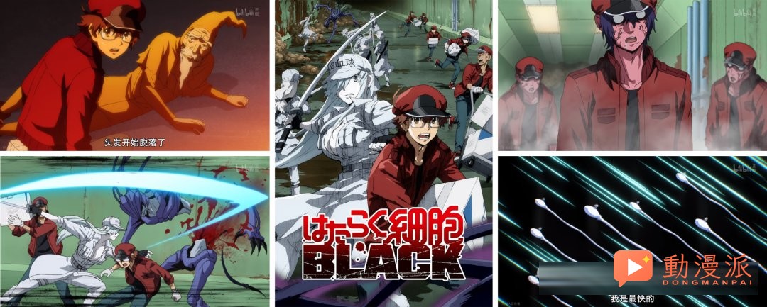 牛馬生存指南：《工作細胞BLACK》
