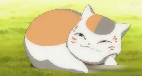 动漫猫角色盘点:夏目、恰恰丸等不正常的猫
