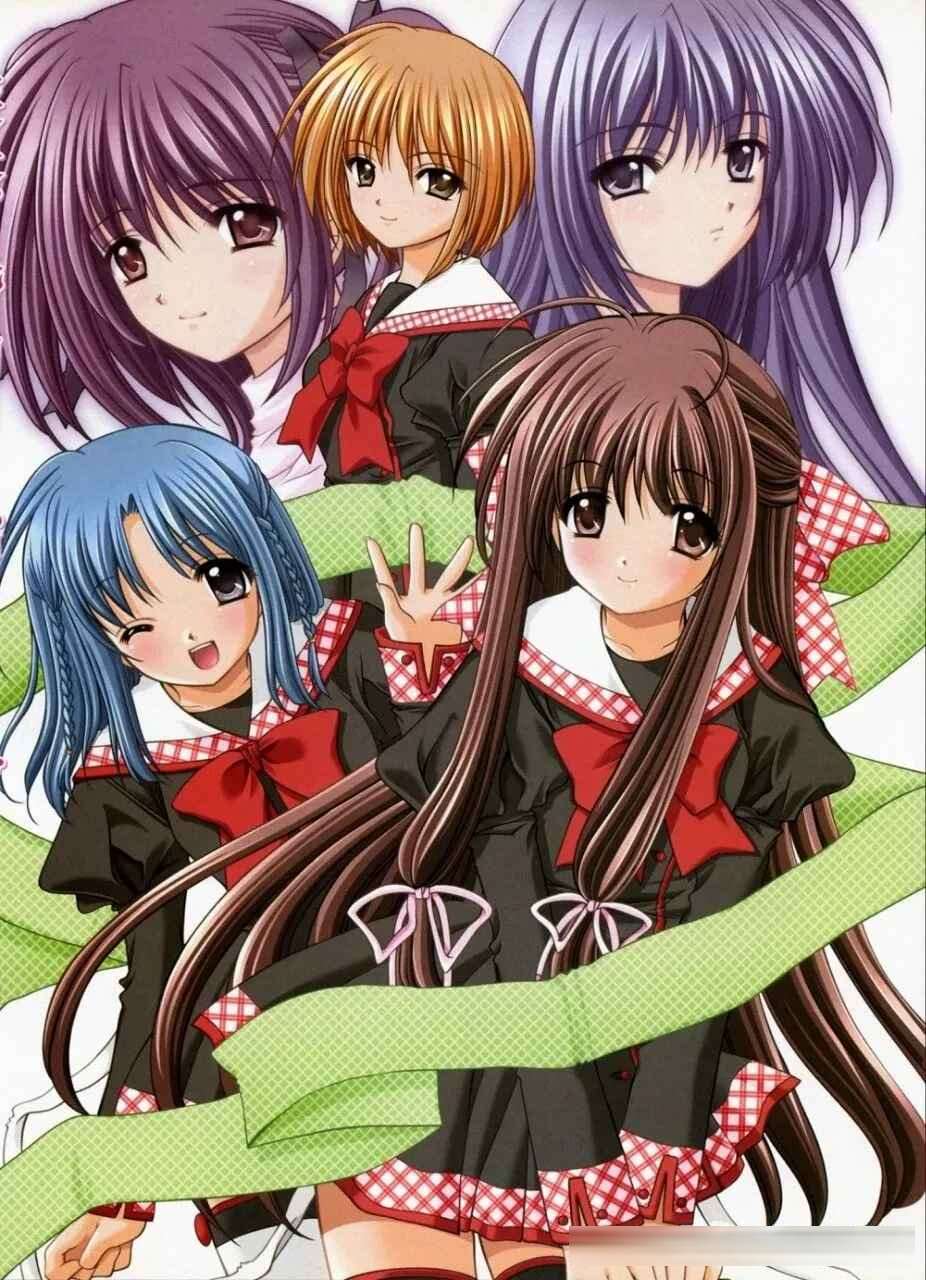 全员美少女！轻松解压的后宫番推荐（第六期）