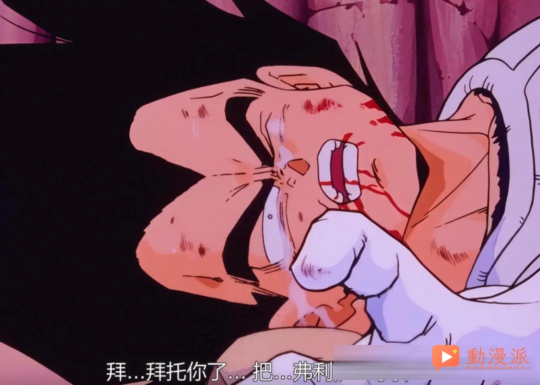 记吃不记打，我叫贝吉塔，盘点贝吉塔5次吃瘪名场面